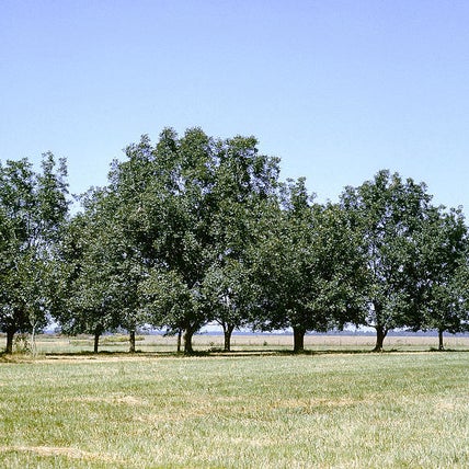 Photo of Colfax community